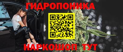 Альфа ПВП Гусев