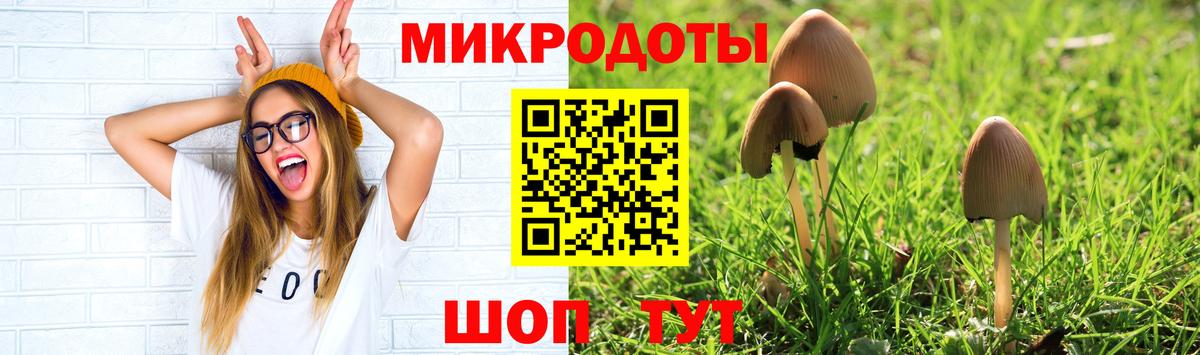 Галлюциногенные грибы MAGIC MUSHROOMS  Вход с VPN  Зеленокумск 